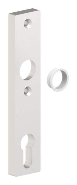 Aluminum short sign | Dimensions: 30x160x10 mm | Shape: square | Aluminum EV1