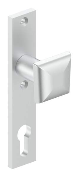 Aluminum lever handle | fixed with aluminum cylinder short plate | aluminum EV1