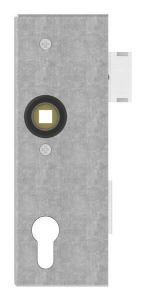 Lock case | Dimensions: 173x60x40 mm | Mandrel: 40 mm | Steel (raw) S235 JR