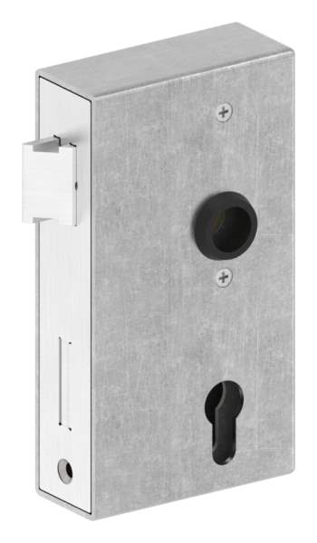 Lock case | Dimensions: 173x94,5x40 mm | Mandrel: 60 mm | Steel (raw) S235 JR