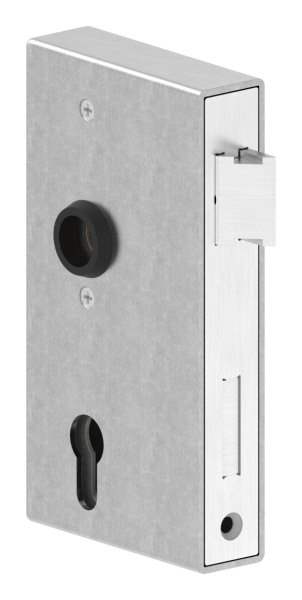 Lock case | Dimensions: 173x94,5x30 mm | Mandrel: 60 mm | Steel (raw) S235 JR