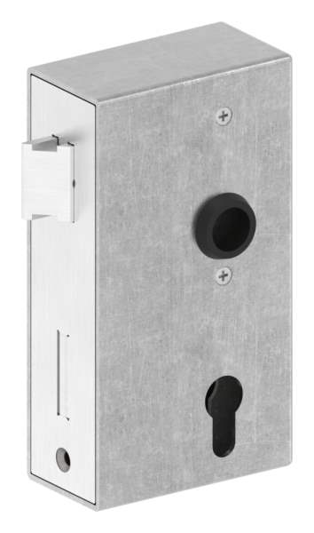 Lock case | Dimensions: 173x94,5x50 mm | Mandrel: 60 mm | Steel (raw) S235 JR