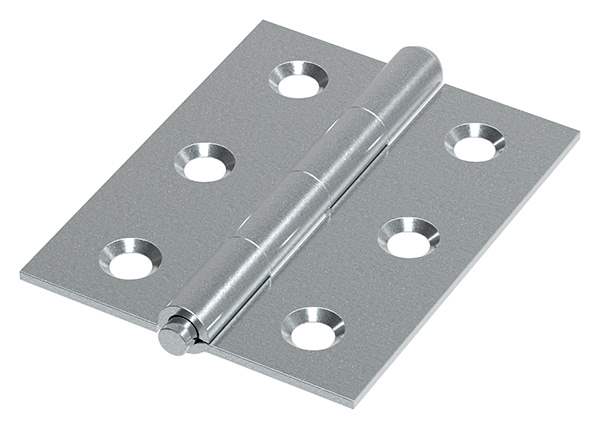 Hinge 50 x 40mm with removable pin
