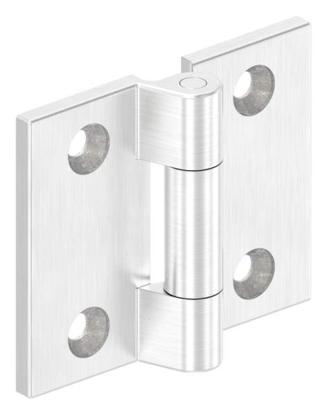 Screw-on hinge for flat profiles, V4A