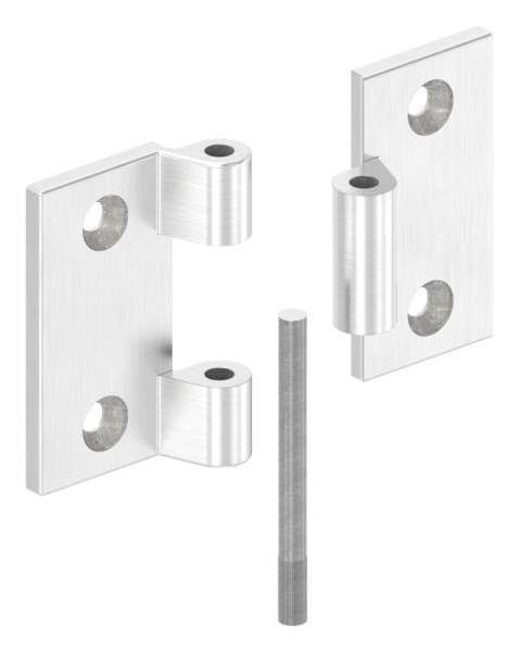 Screw-on hinge for flat profiles, V4A